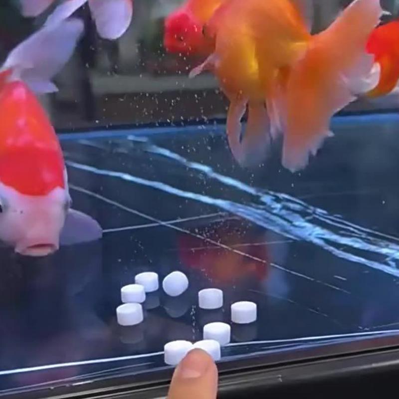 Water Purification Tablet - Tabletas de purificación de agua para
