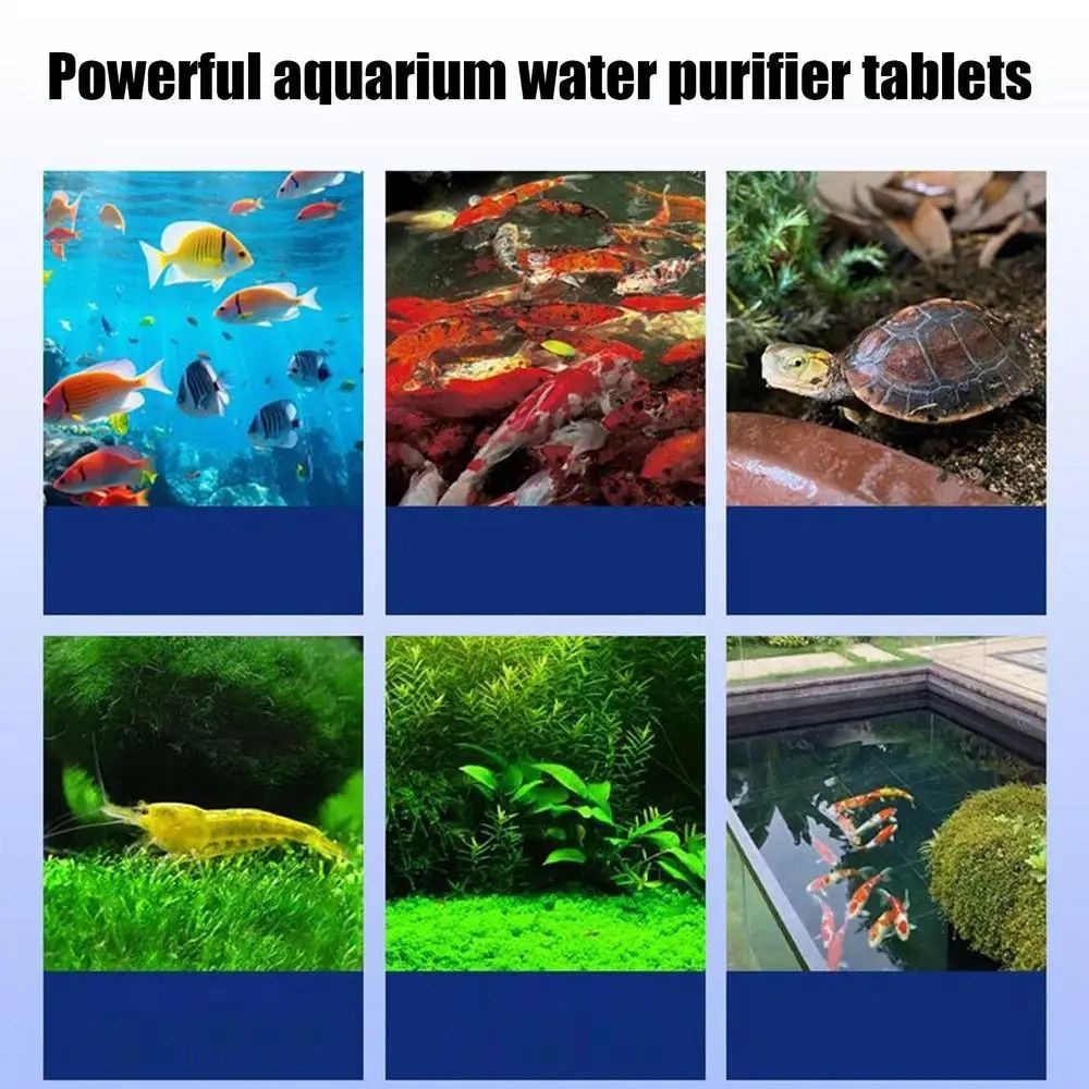 Water Purification Tablet - Potentes Tabletas Purificadoras de Agua, Eliminador