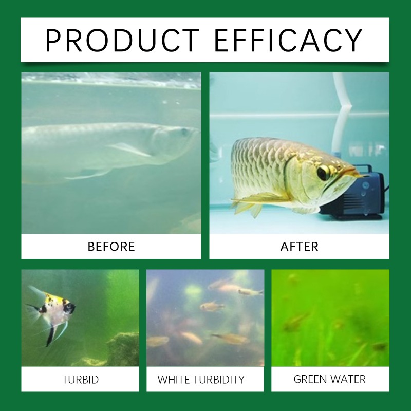 Tabletas Purificadoras de Agua - Water Purification Tablet reseña y precio