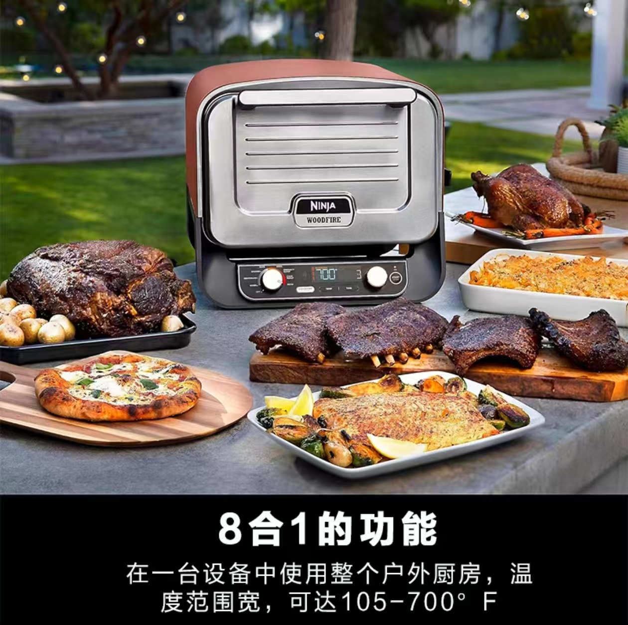 Horno de Pizza para Exteriores - Camping Cooking Ovens reseña y precio